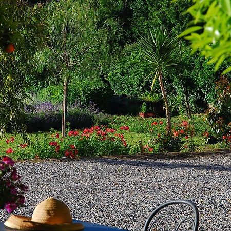 Agriturismo Coppi Rossi Torrazza  Екстериор снимка