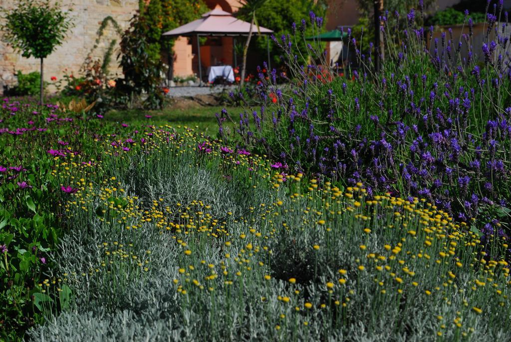 Agriturismo Coppi Rossi Torrazza  Екстериор снимка