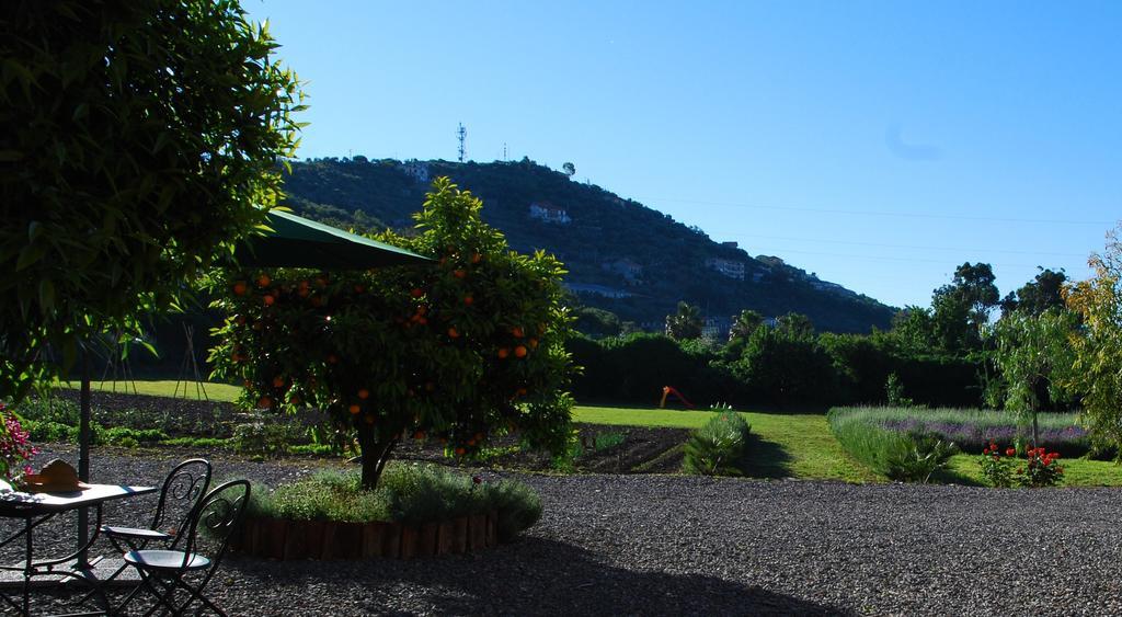Agriturismo Coppi Rossi Torrazza  Екстериор снимка